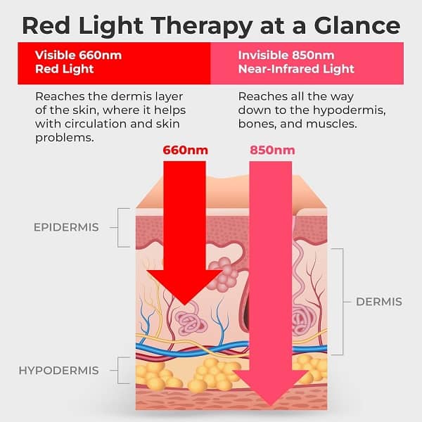 red light belt