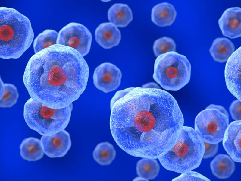 boost your resting metabolism tips 6 boost your resting metabolism tips 6