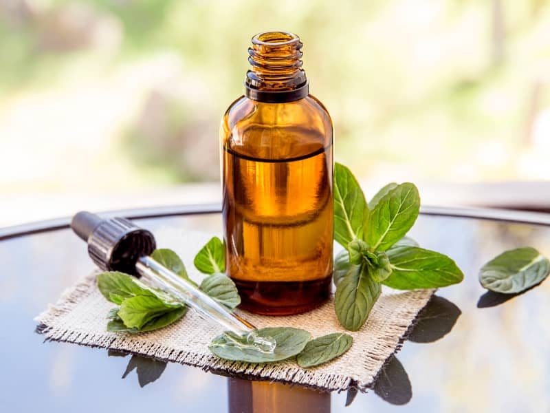 how essential oils reduce appetite 4 how essential oils reduce appetite 4