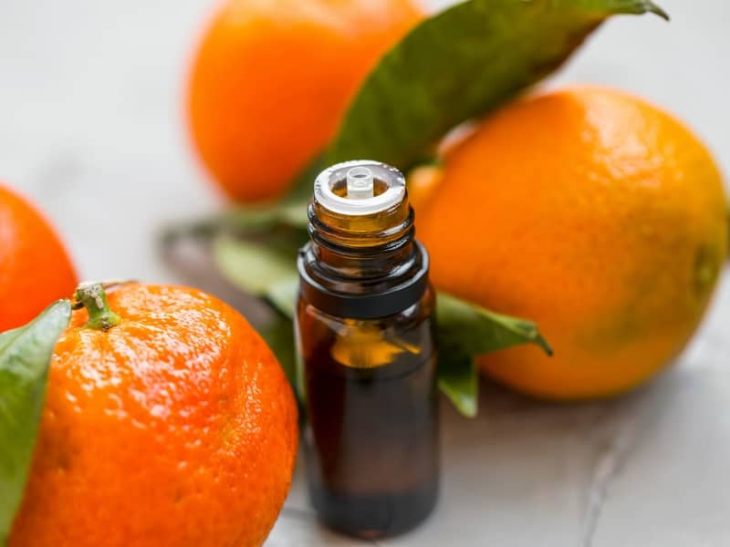 how essential oils reduce appetite 6 how essential oils reduce appetite 6