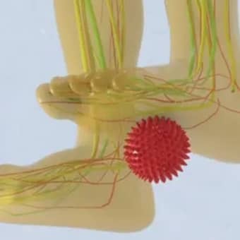 neuro balance therapy vsl 1